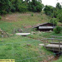 ausflug-klosterhof-neuburg-hd-ziegelheim-33