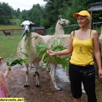 lama-wanderung-in-der-pfalz-19-jpg