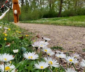 Osterhase-Ostern-Aktion_Schloss-Bruchsal_2023-11