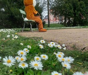 Osterhase-Ostern-Aktion_Schloss-Bruchsal_2023-22